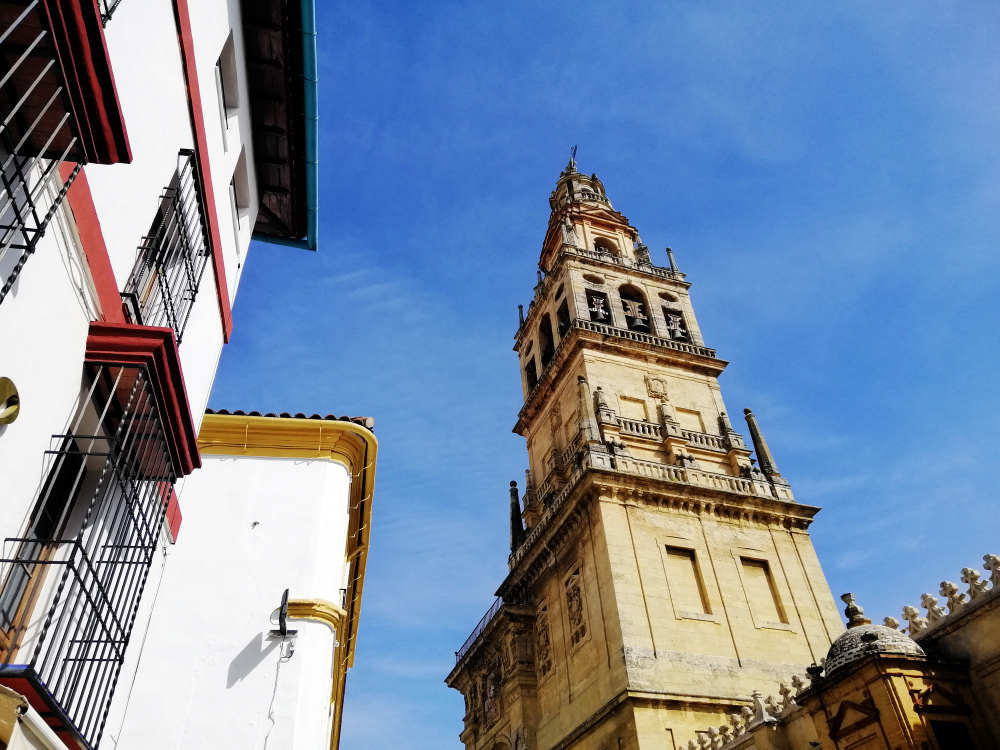 Contratar perito para la realización de informa pericial en Córdoba
