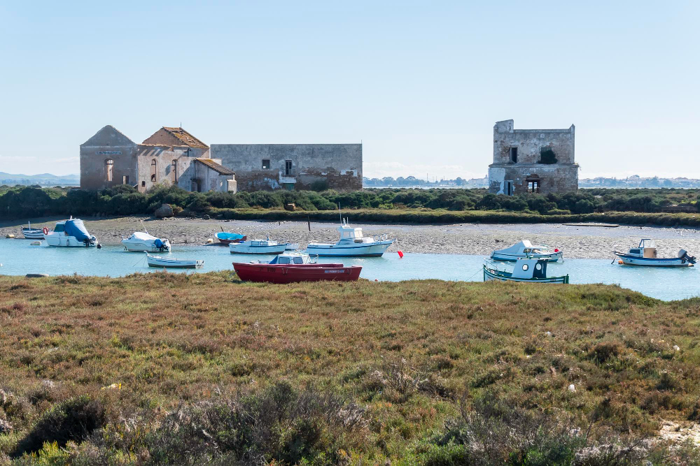 Perito experto en diversos en Puerto Real, Cádiz