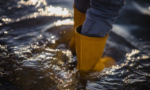 Perito de daños por inundacion en almacens y naves en España