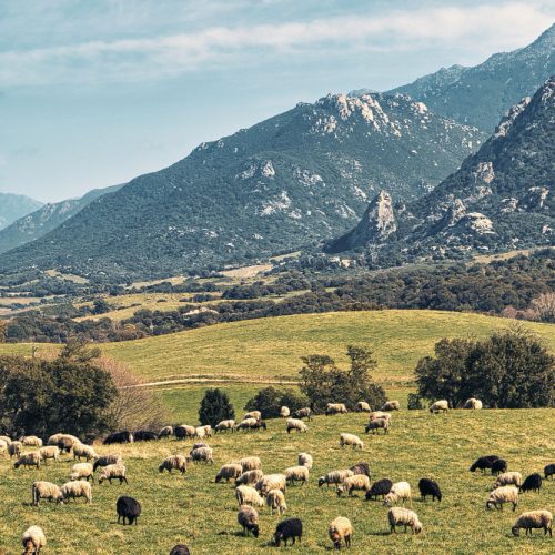 Perito judicial para reclamación a seguros en Grazalema y Sierra de Cádiz