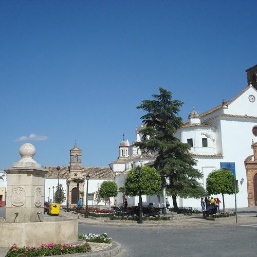 Perito judicial experto en viviendas y vehículos en Palma del Río, Córdoba
