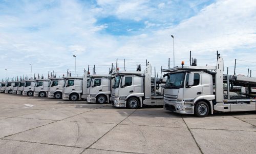 Informe pericial de camiones ligeros y pesado