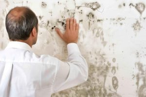 Perito experto en humedades y filtraciones en España
